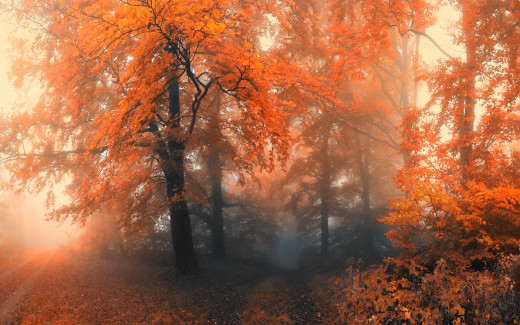 712899 (a): :2560x1600